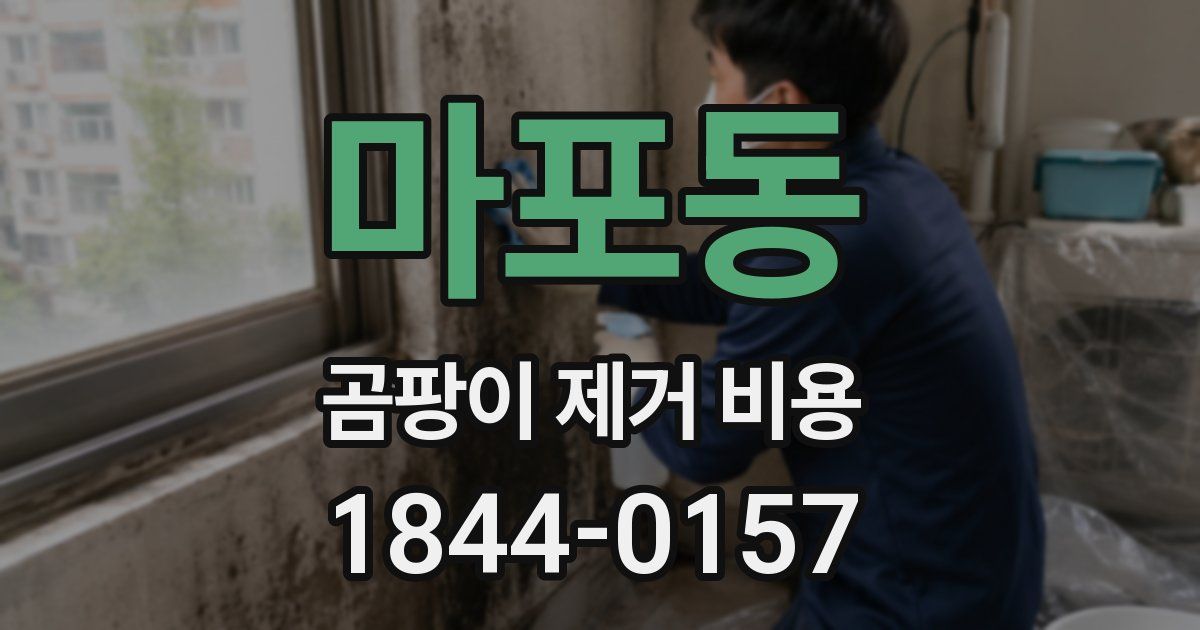 마포동 곰팡이 제거 비용