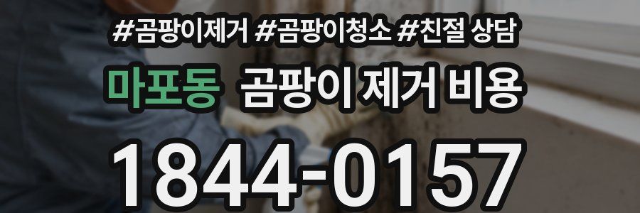 마포동 곰팡이 제거 비용