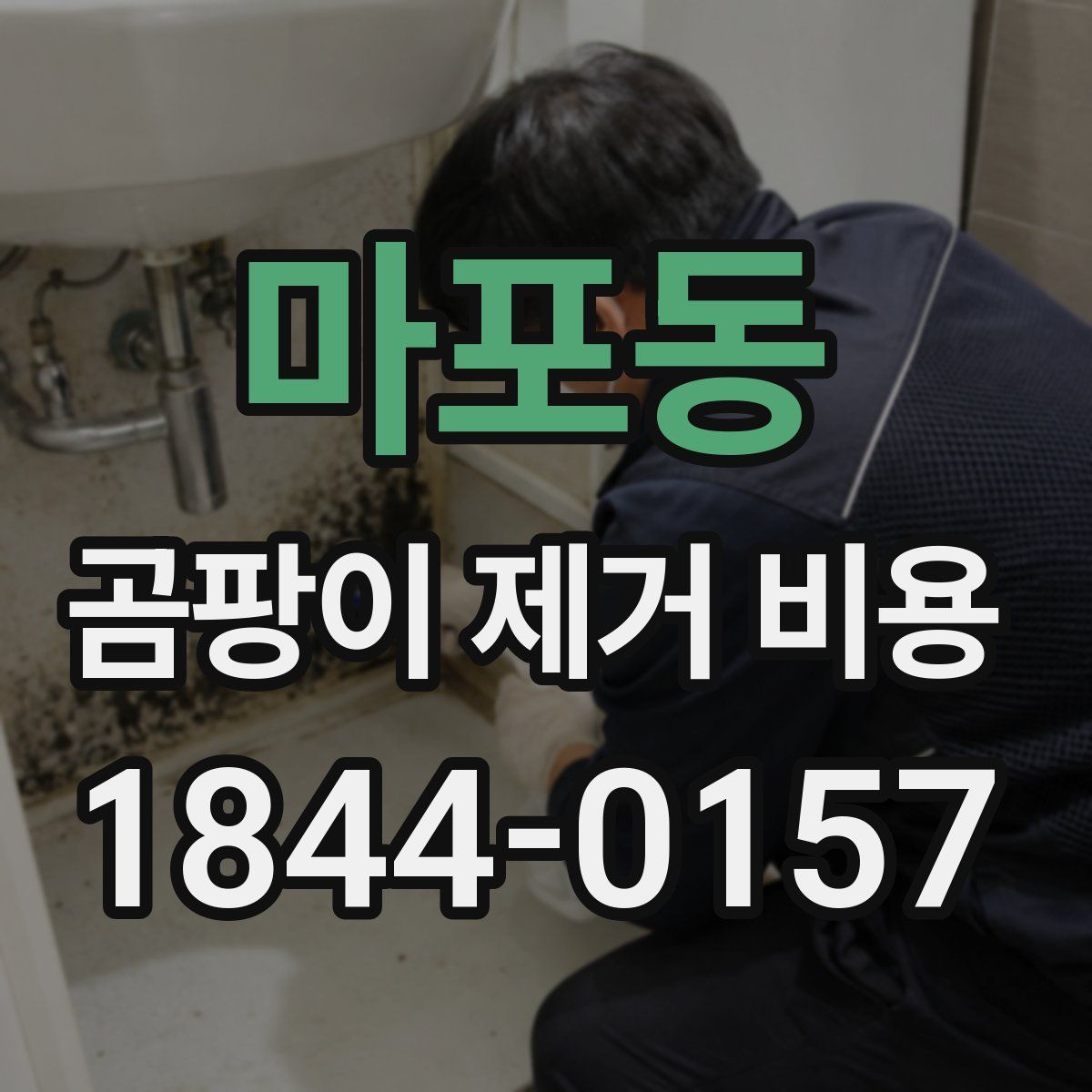 마포동 곰팡이 제거 비용