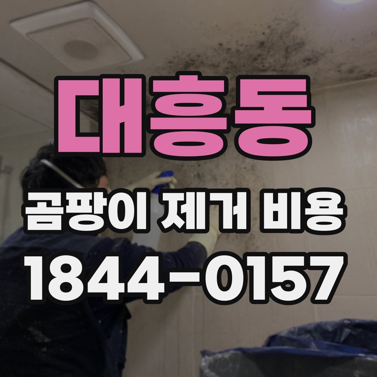 대흥동 곰팡이 제거 비용