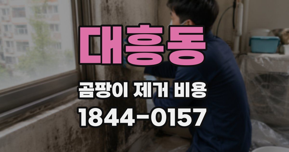 대흥동 곰팡이 제거 비용