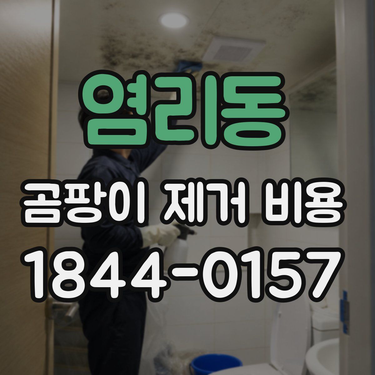 염리동 곰팡이 제거 비용