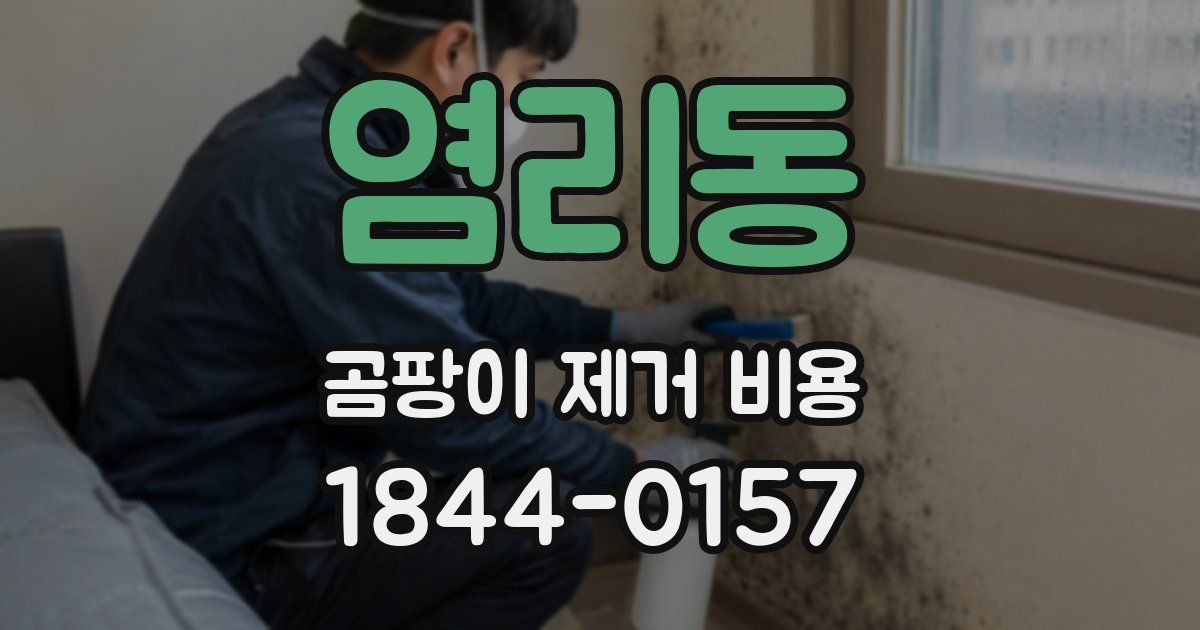 염리동 곰팡이 제거 비용