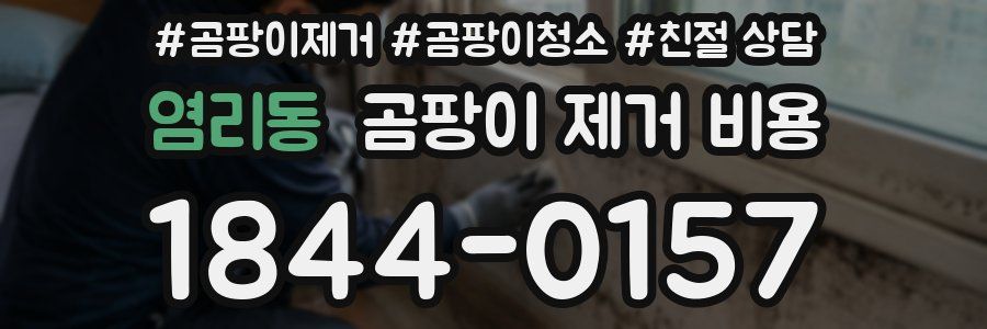 염리동 곰팡이 제거 비용