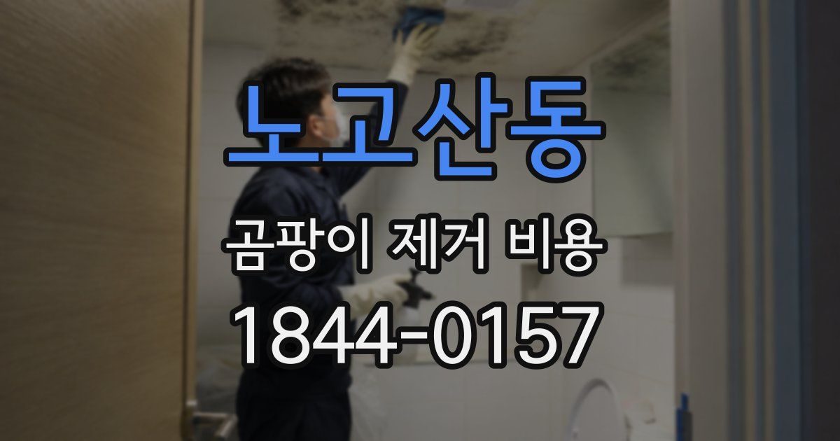 노고산동 곰팡이 제거 비용