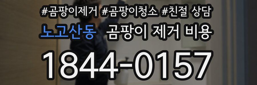 노고산동 곰팡이 제거 비용