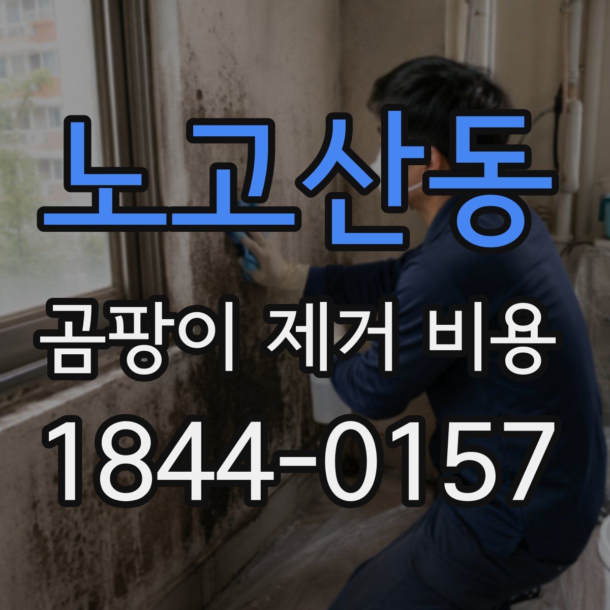 노고산동 곰팡이 제거 비용