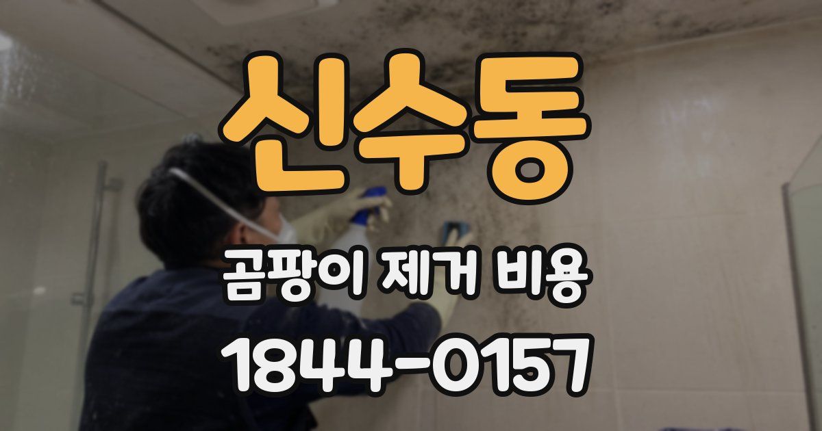 신수동 곰팡이 제거 비용