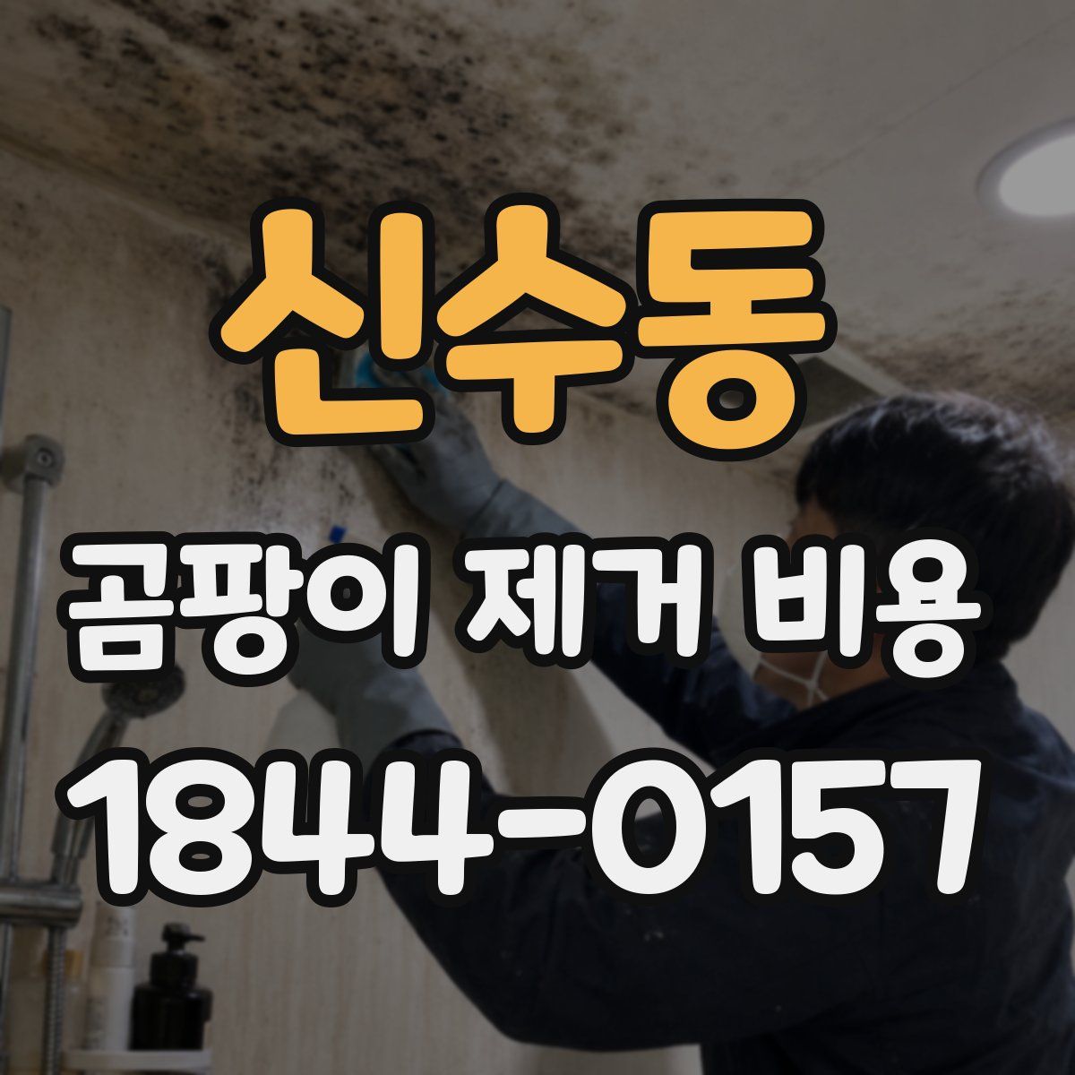 신수동 곰팡이 제거 비용