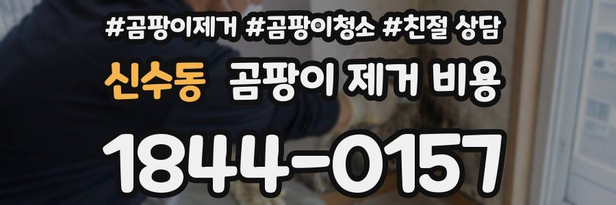 신수동 곰팡이 제거 비용