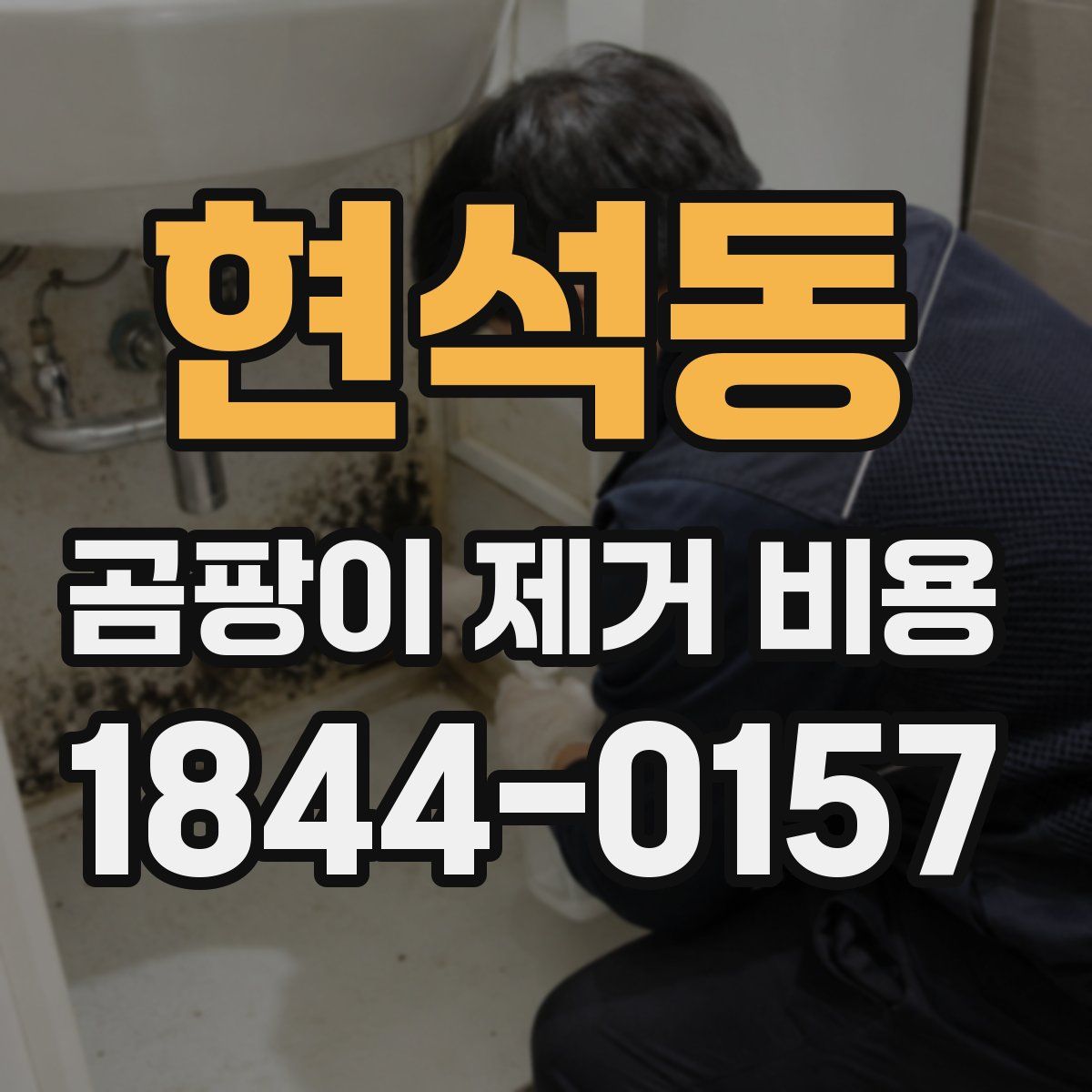 현석동 곰팡이 제거 비용