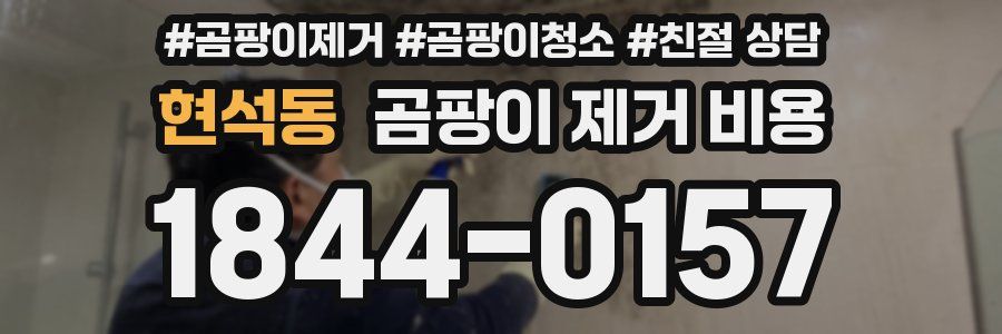 현석동 곰팡이 제거 비용