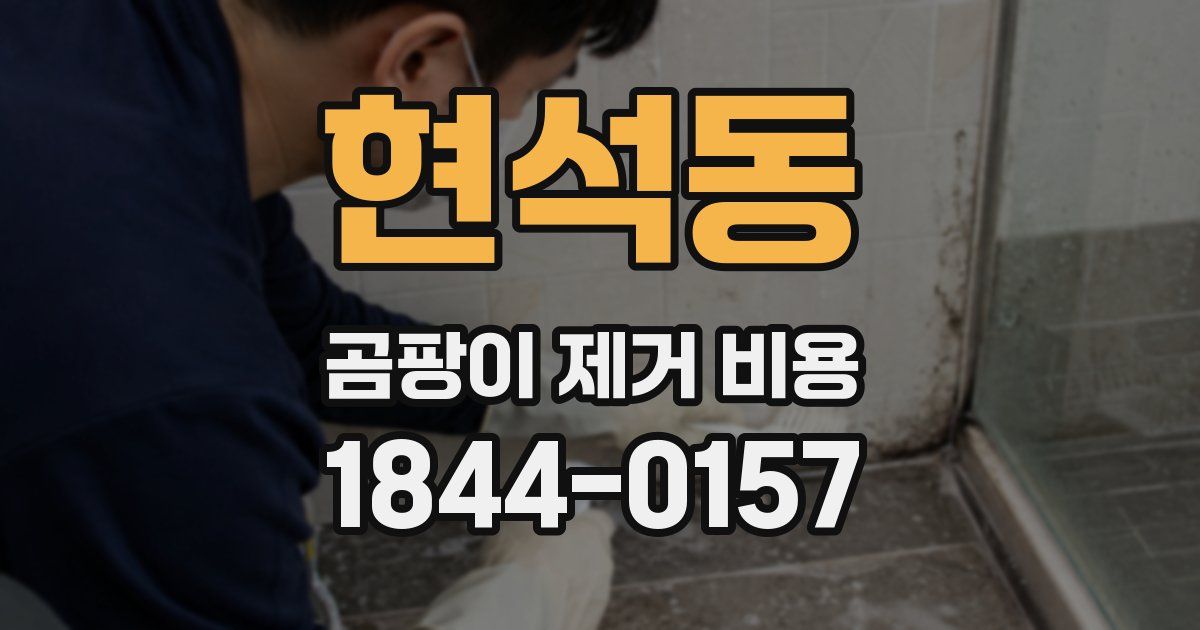 현석동 곰팡이 제거 비용