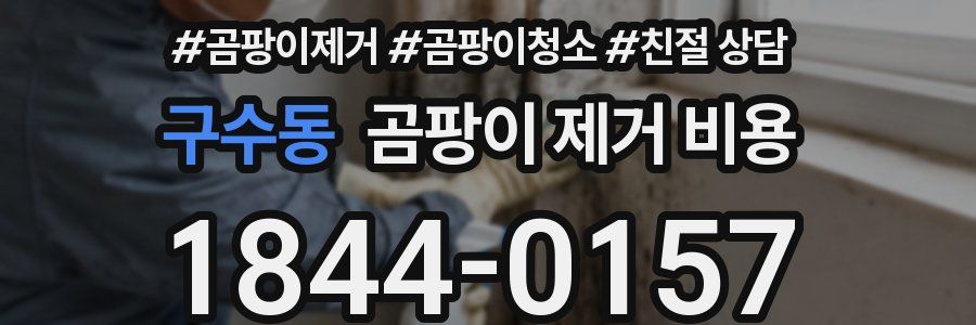 구수동 곰팡이 제거 비용