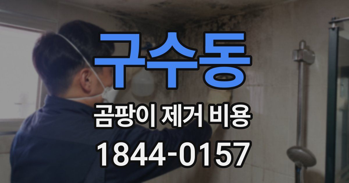 구수동 곰팡이 제거 비용