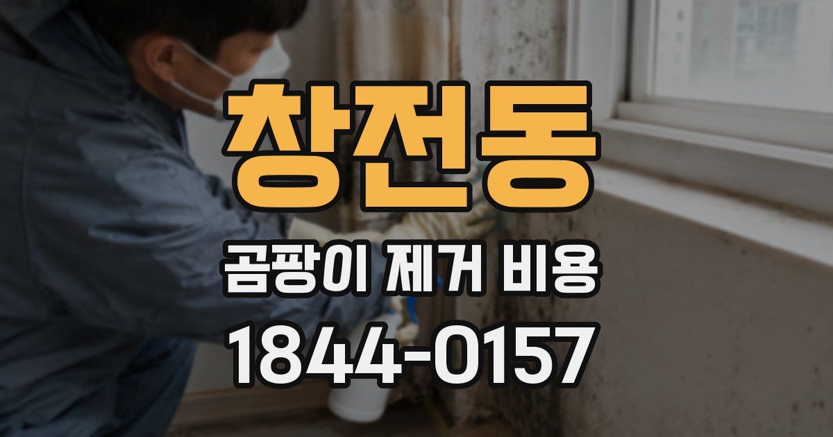 창전동 곰팡이 제거 비용