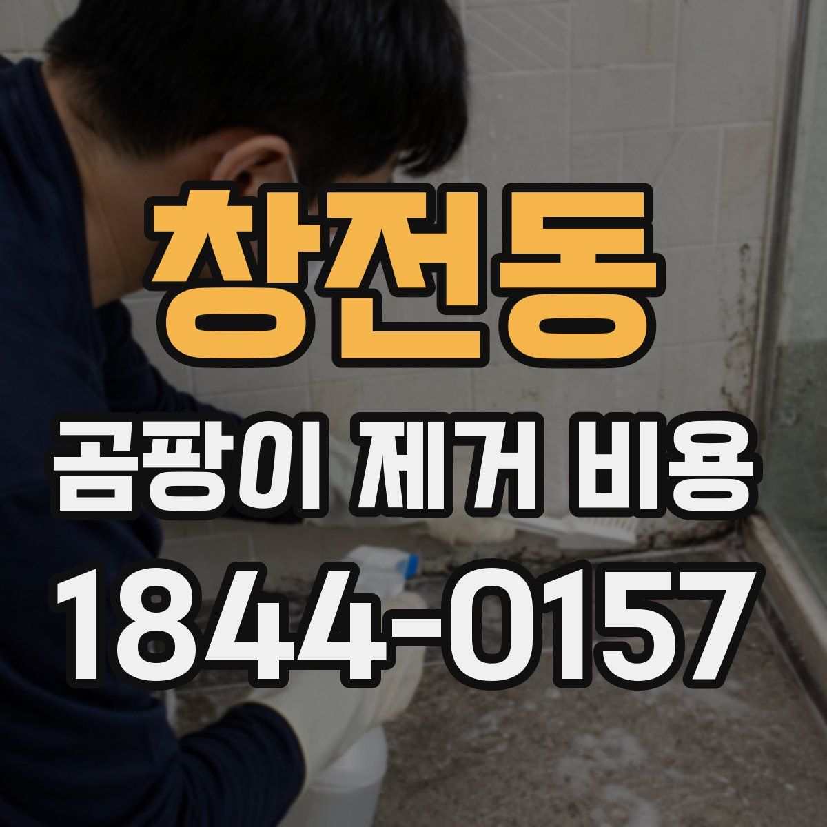 창전동 곰팡이 제거 비용