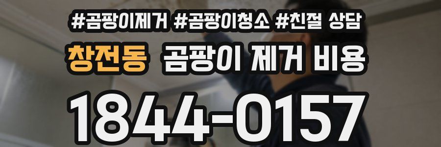 창전동 곰팡이 제거 비용
