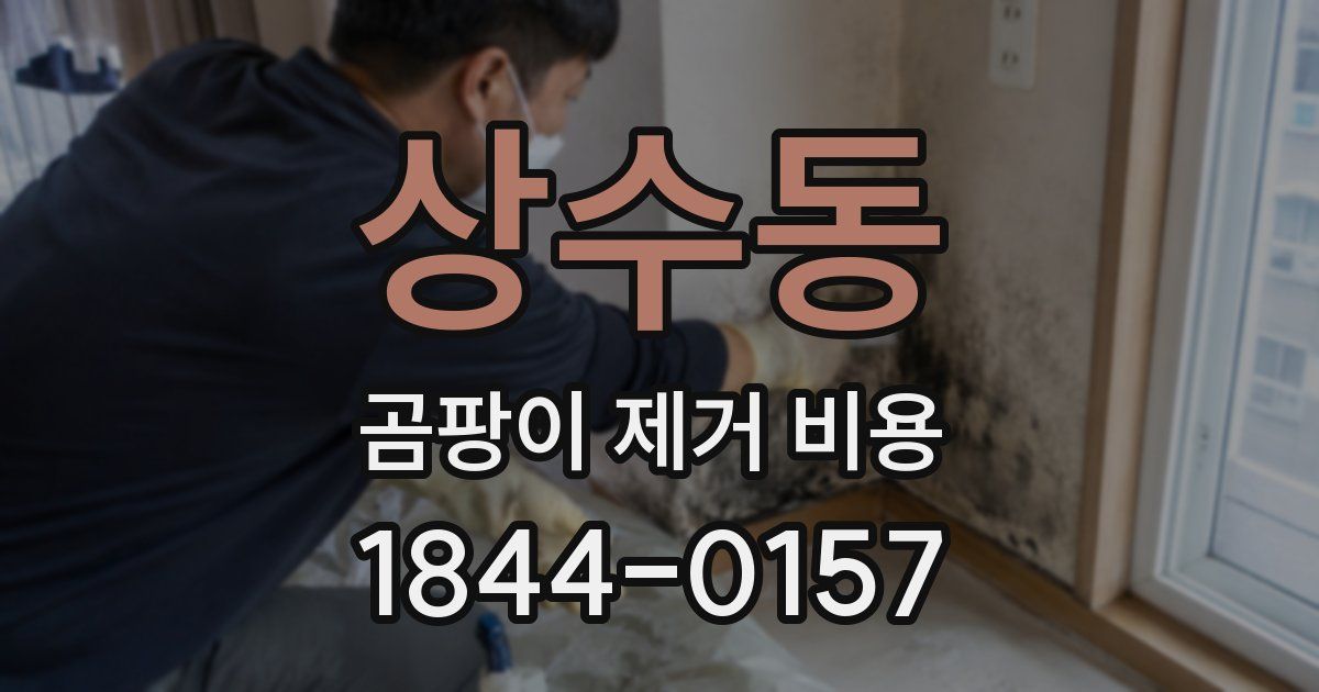 상수동 곰팡이 제거 비용