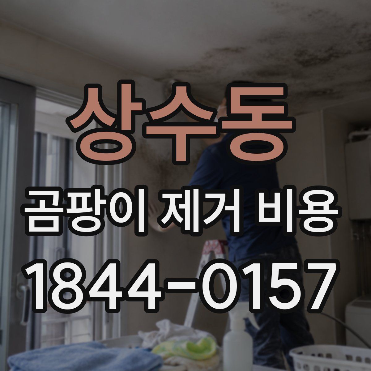 상수동 곰팡이 제거 비용
