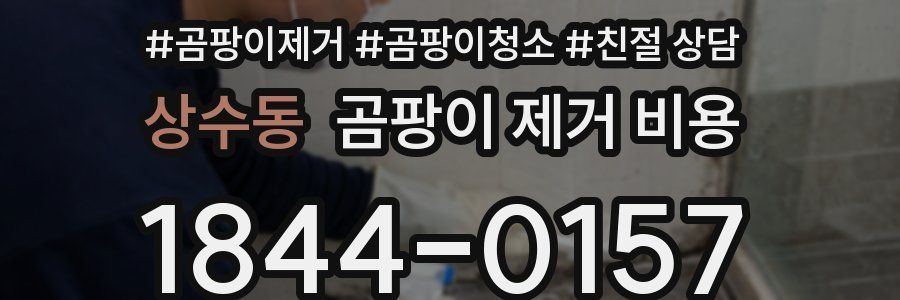 상수동 곰팡이 제거 비용