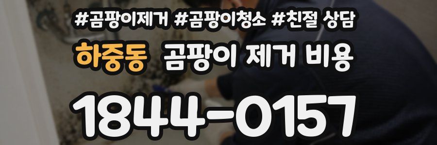하중동 곰팡이 제거 비용