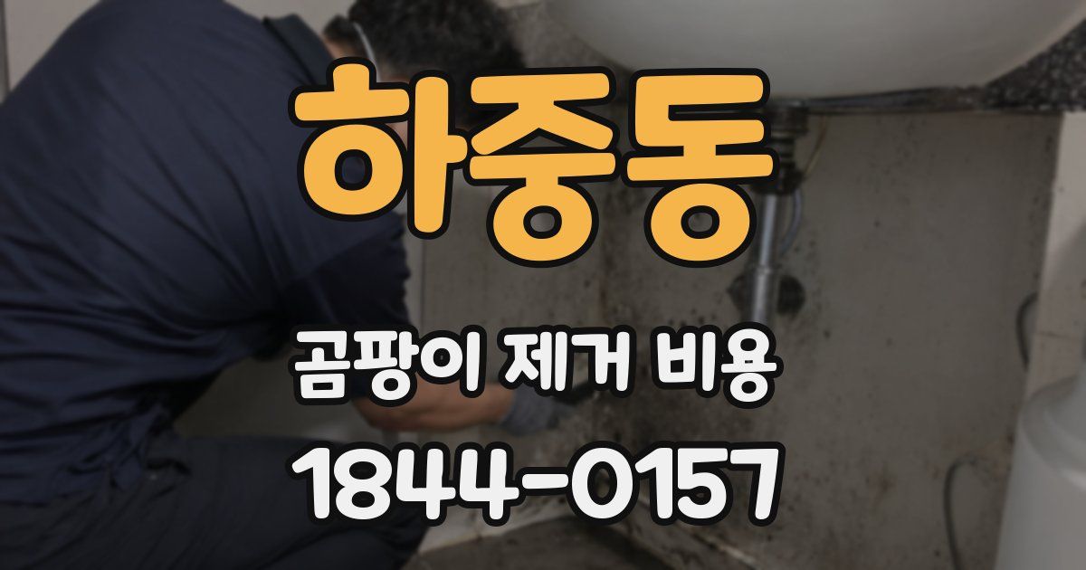 하중동 곰팡이 제거 비용