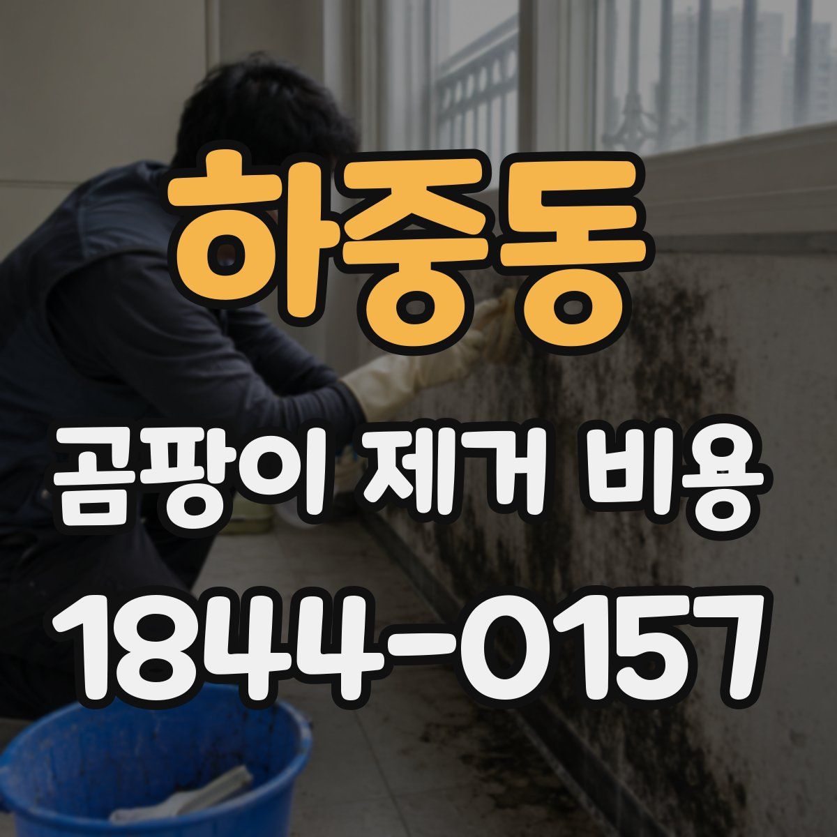 하중동 곰팡이 제거 비용