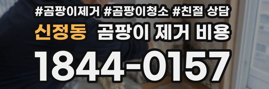 신정동 곰팡이 제거 비용