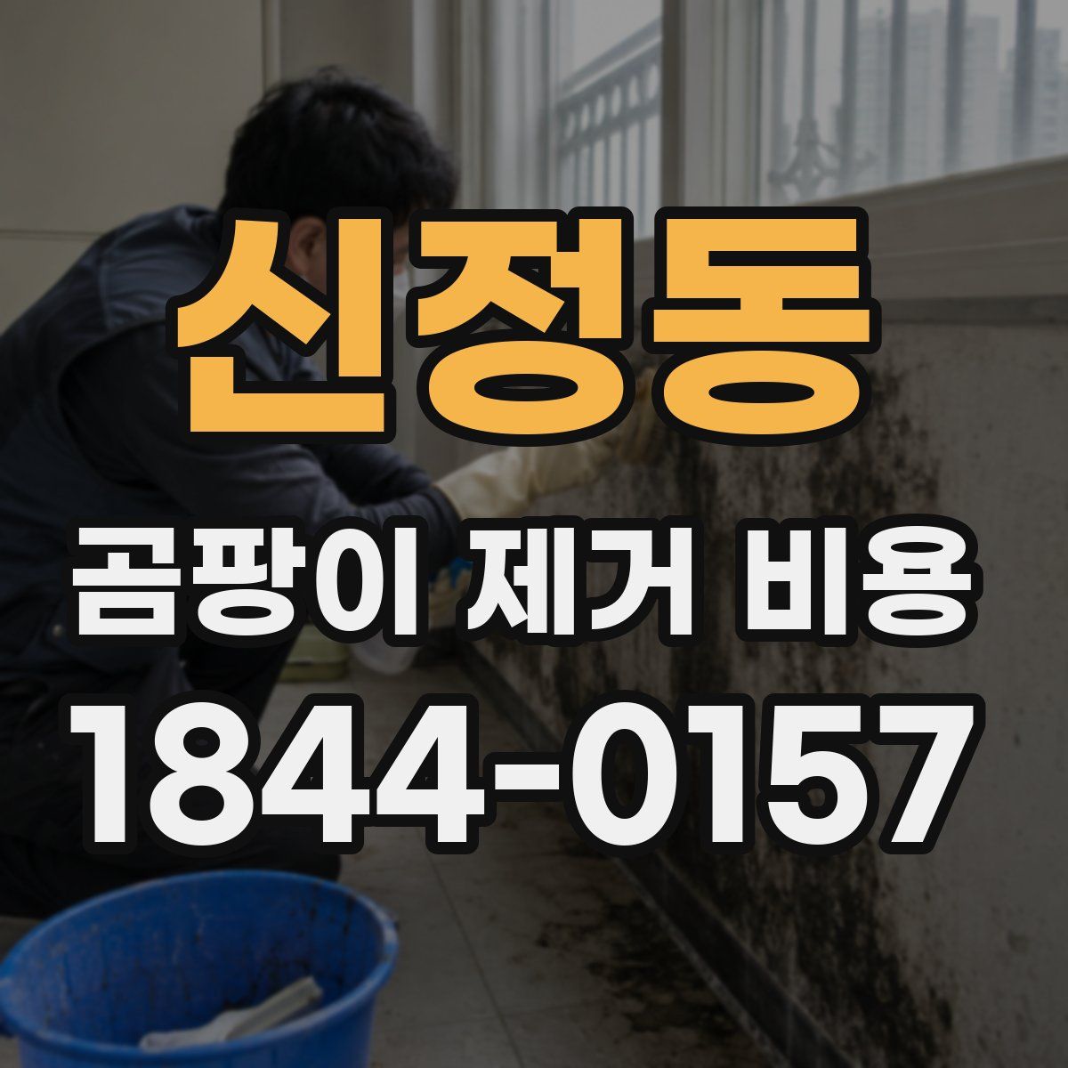 신정동 곰팡이 제거 비용