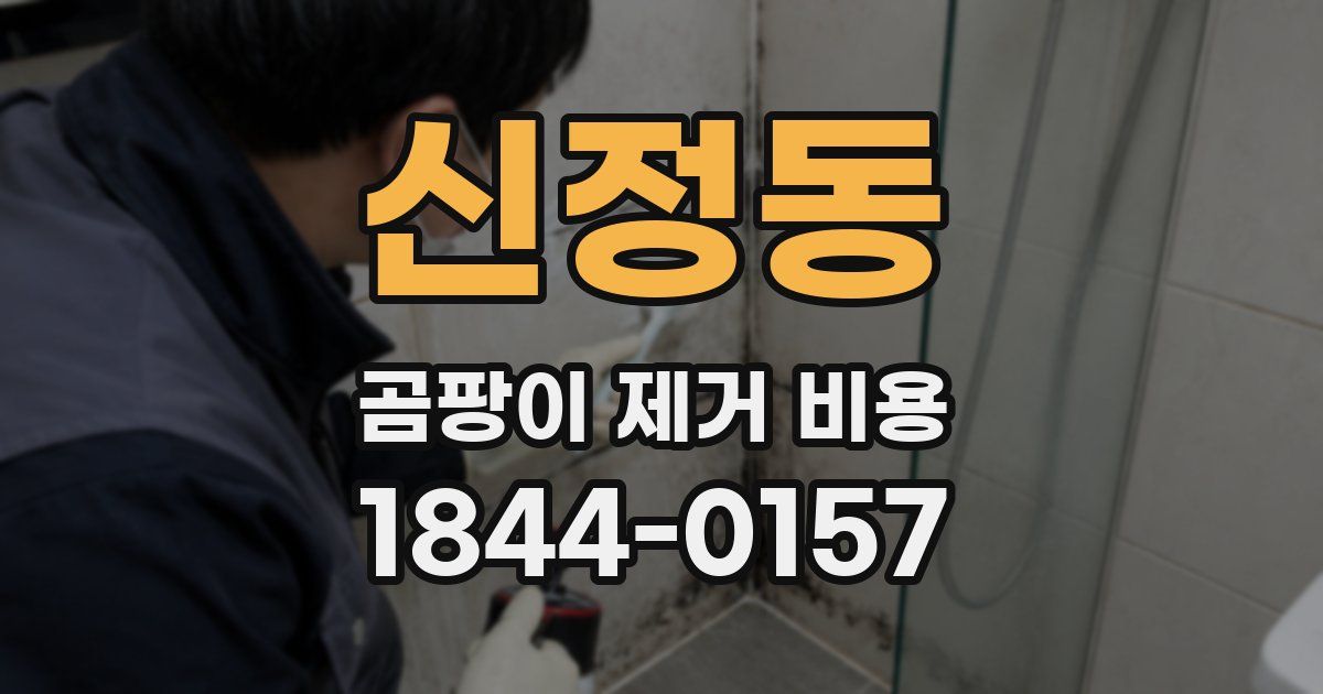 신정동 곰팡이 제거 비용