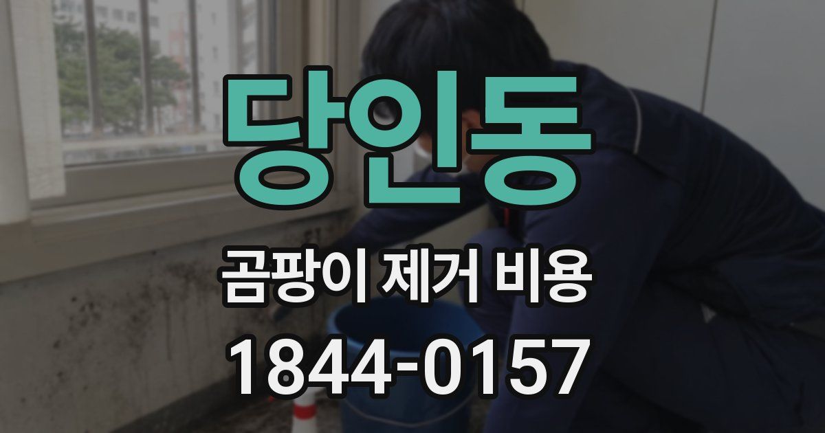 당인동 곰팡이 제거 비용
