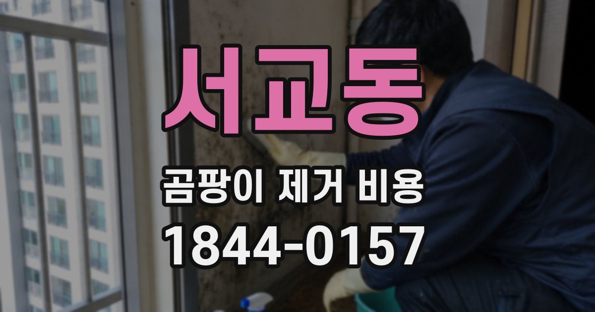 서교동 곰팡이 제거 비용
