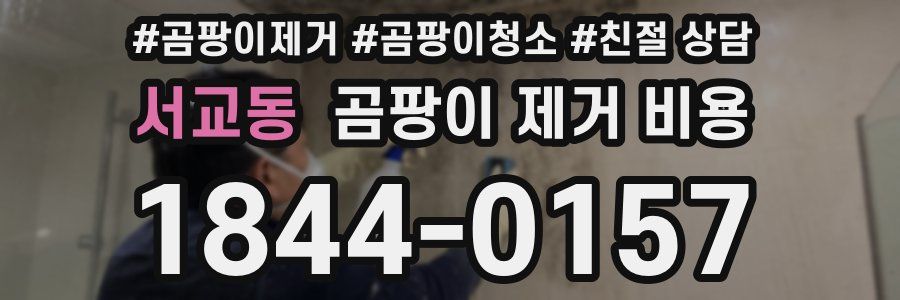 서교동 곰팡이 제거 비용