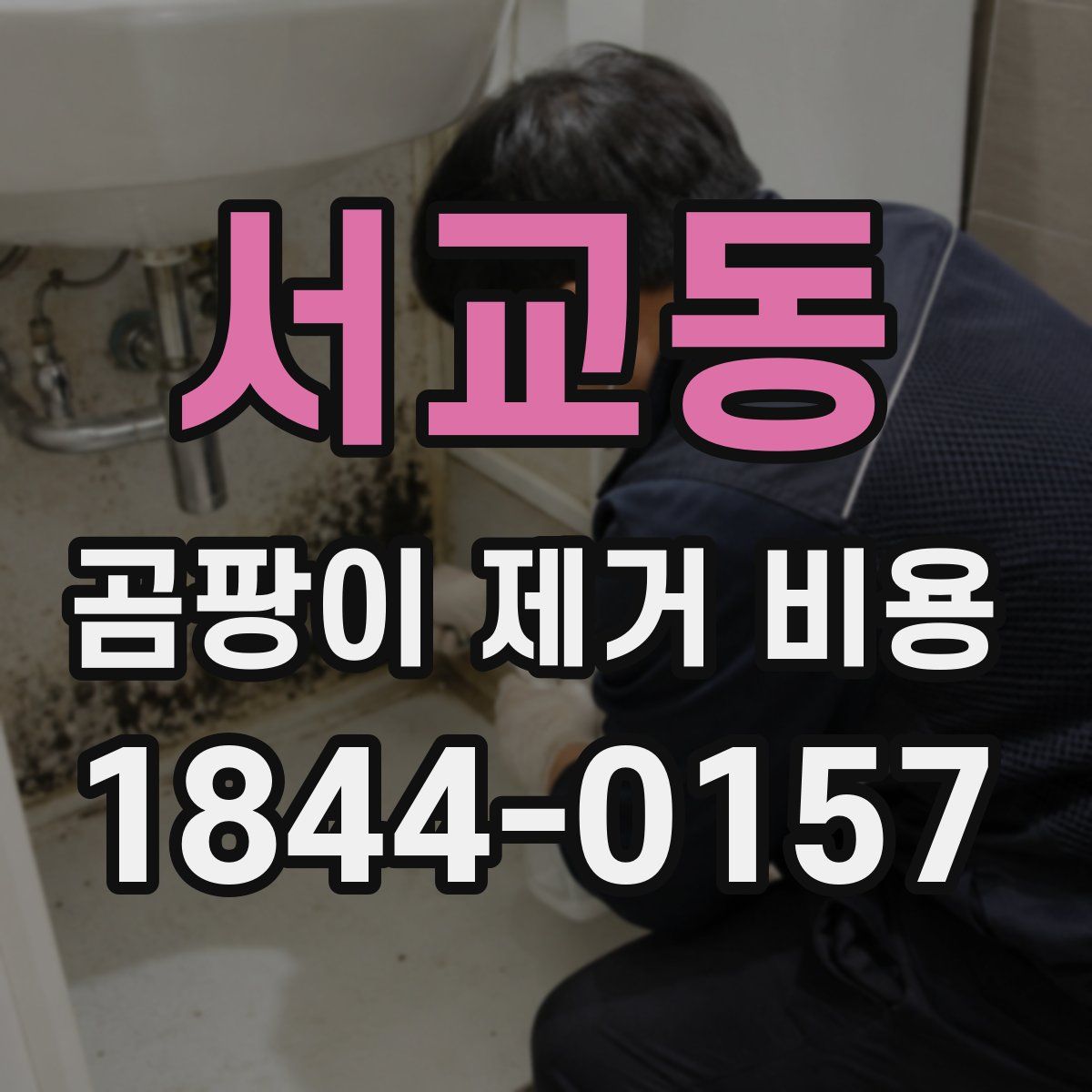서교동 곰팡이 제거 비용