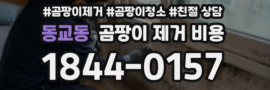 동교동 곰팡이 제거 비용