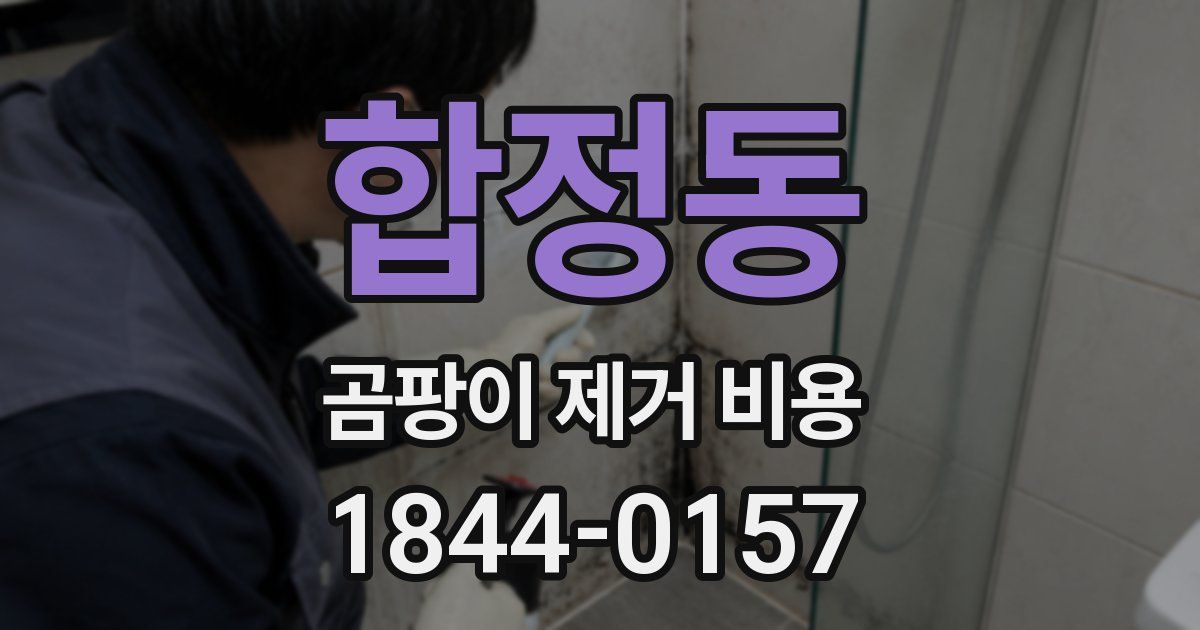 합정동 곰팡이 제거 비용