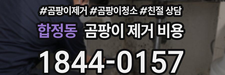 합정동 곰팡이 제거 비용