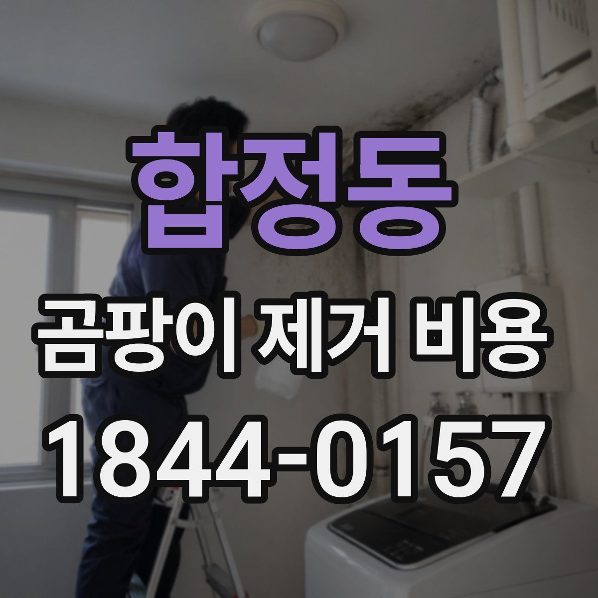 합정동 곰팡이 제거 비용