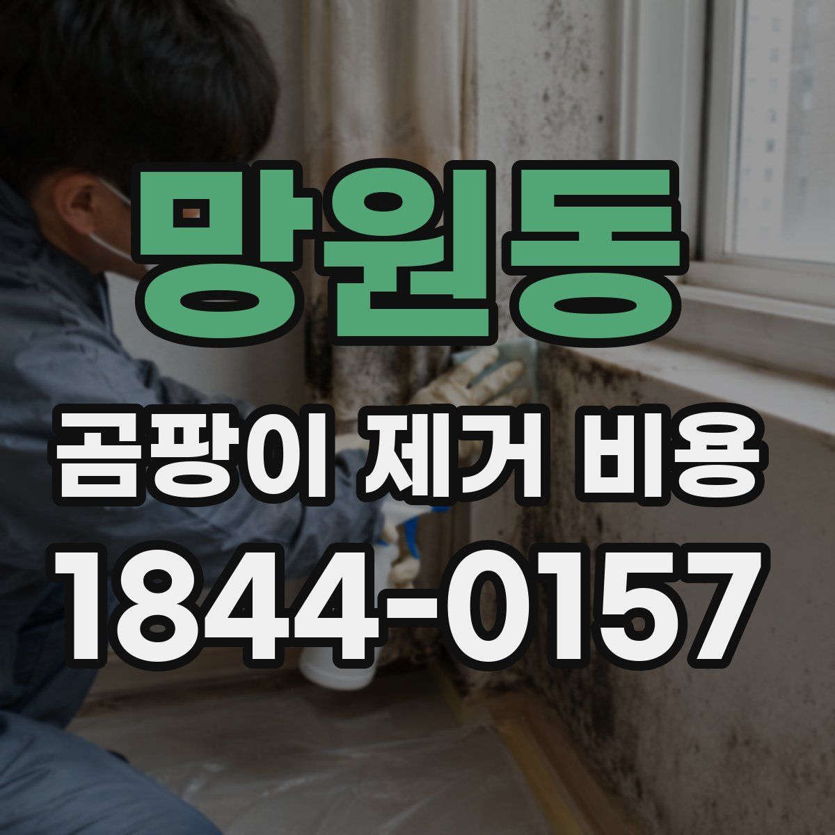 망원동 곰팡이 제거 비용