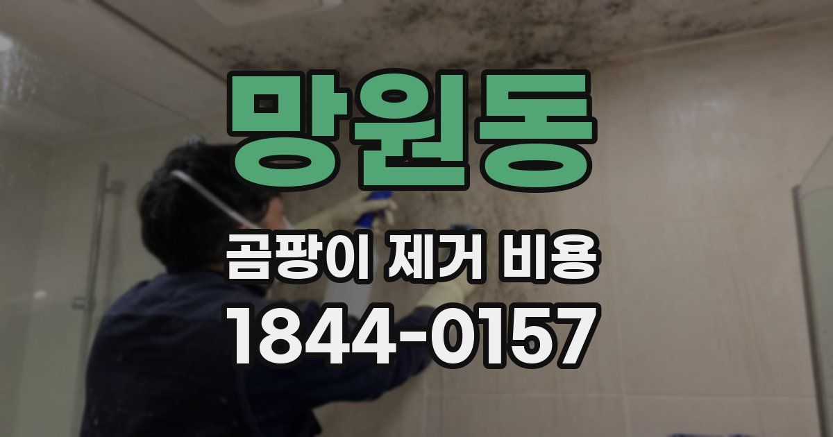 망원동 곰팡이 제거 비용