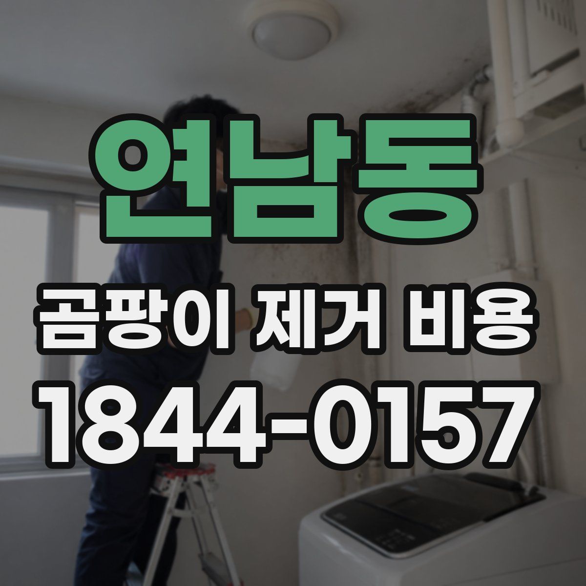 연남동 곰팡이 제거 비용