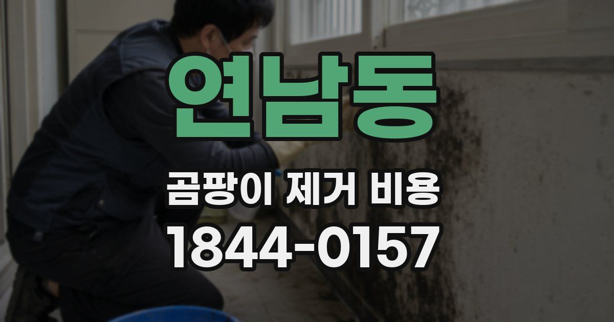 연남동 곰팡이 제거 비용