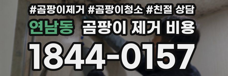 연남동 곰팡이 제거 비용