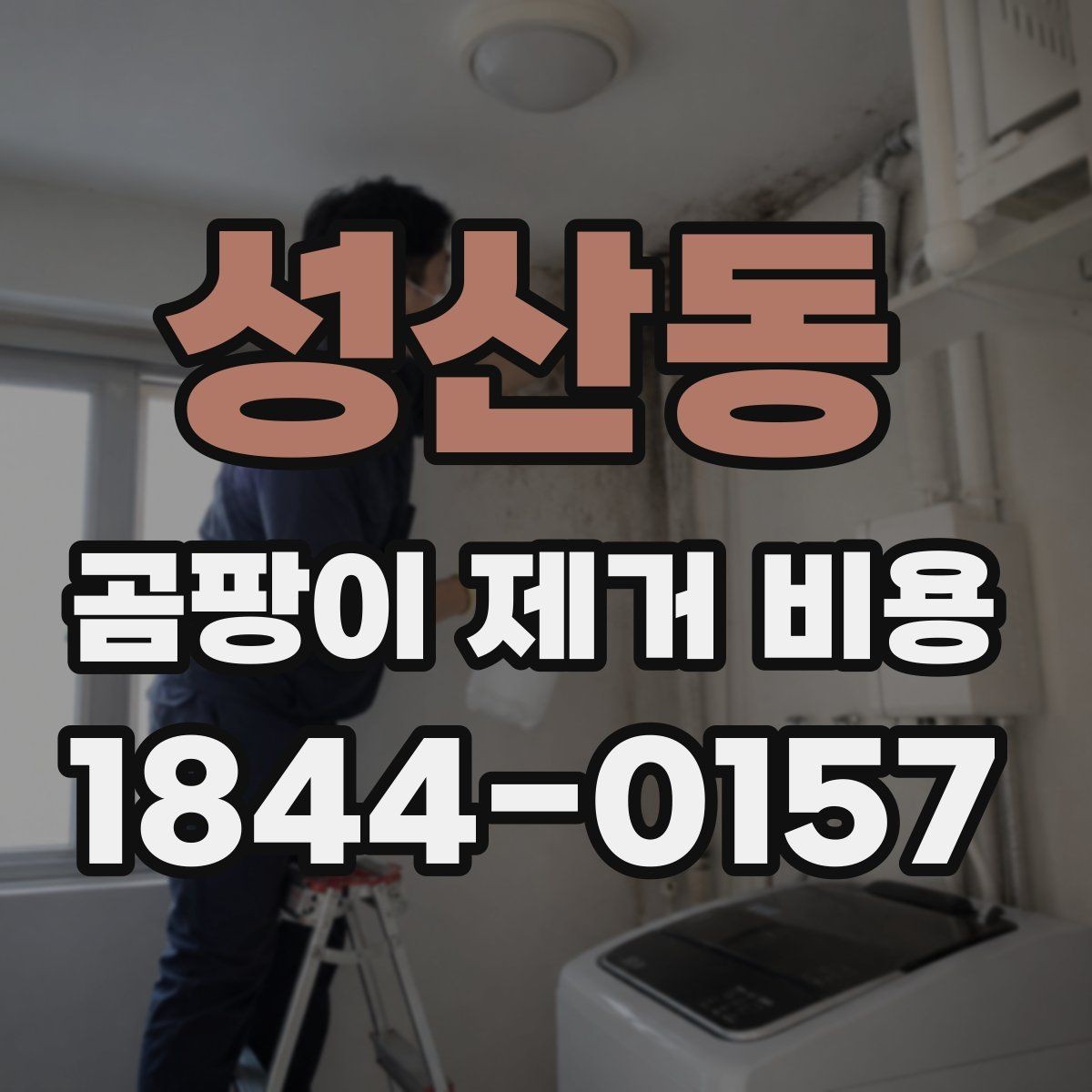 성산동 곰팡이 제거 비용 주변 시세를 살펴보는 방법