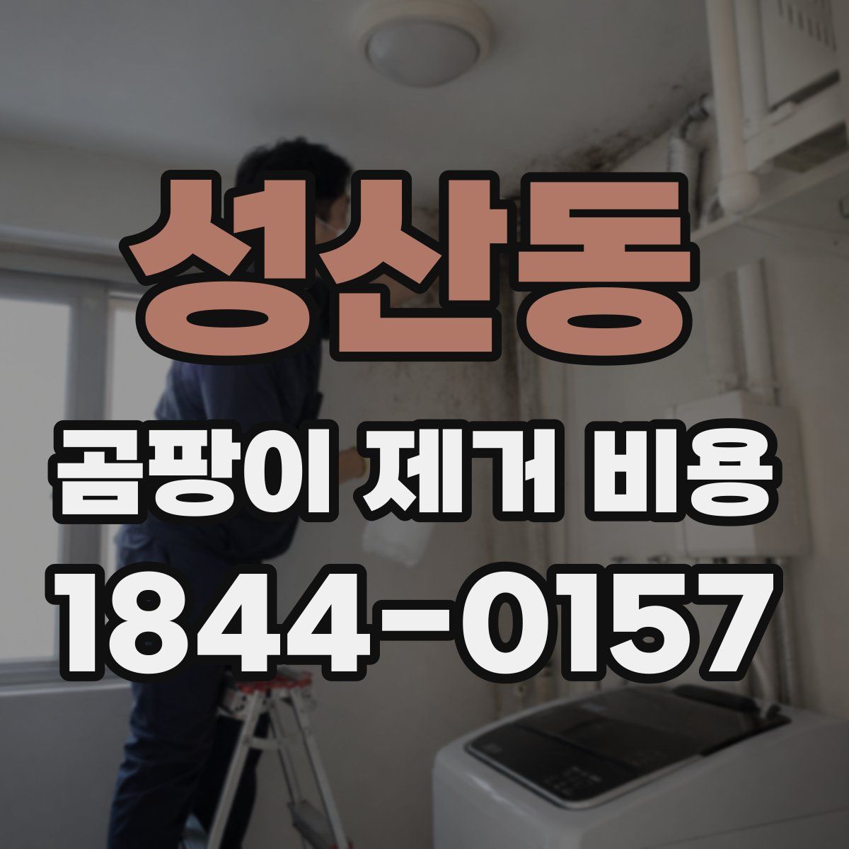 성산동 곰팡이 제거 비용