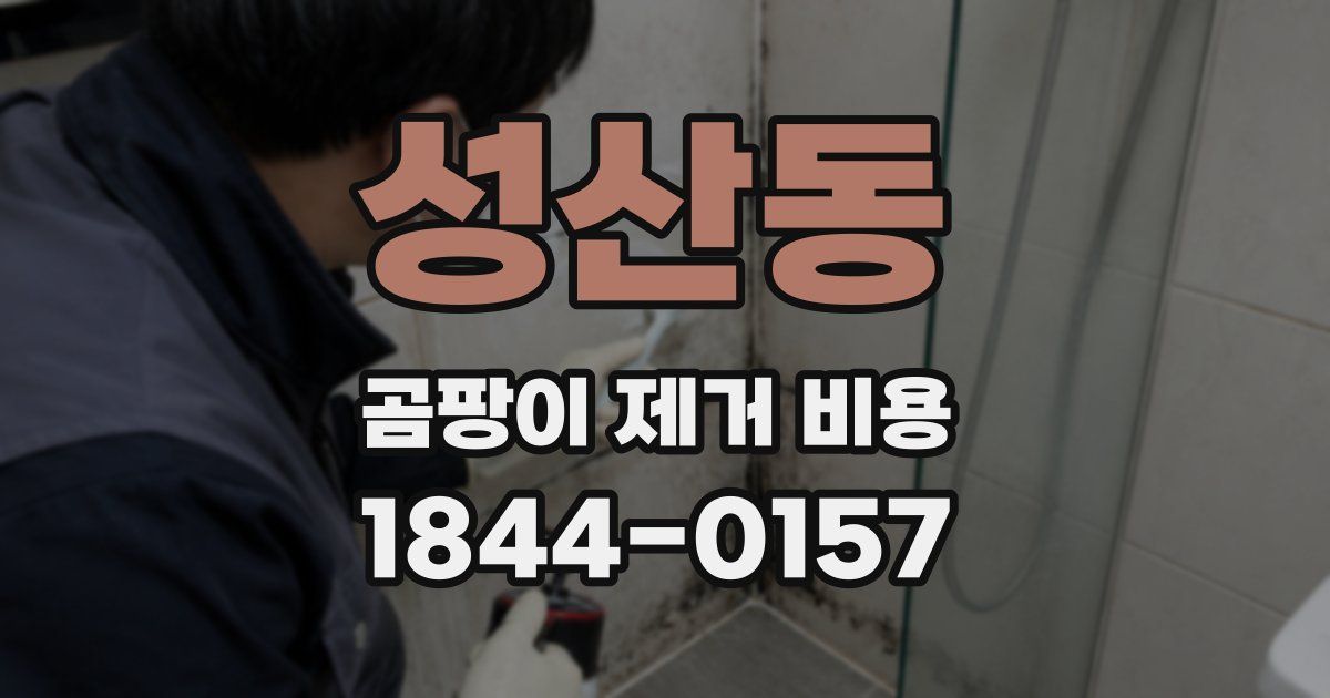 성산동 곰팡이 제거 비용