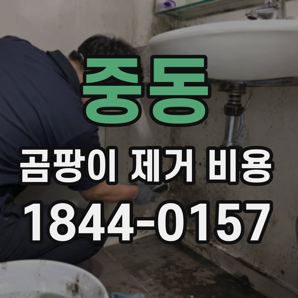 중동 곰팡이 제거 비용
