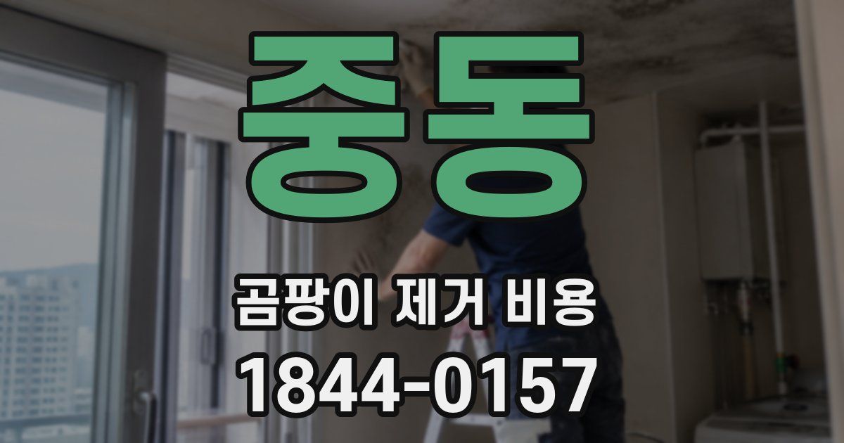 중동 곰팡이 제거 비용