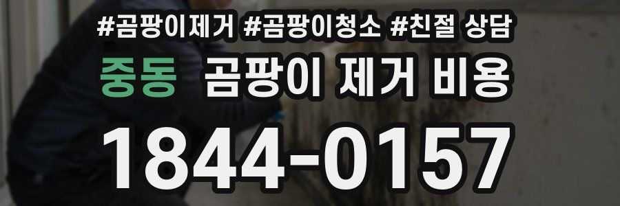 중동 곰팡이 제거 비용